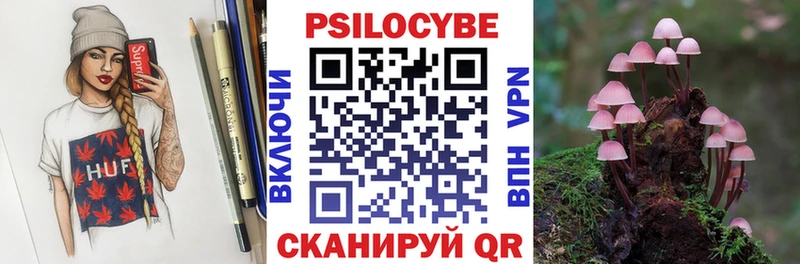 Галлюциногенные грибы Psilocybe  Льгов 